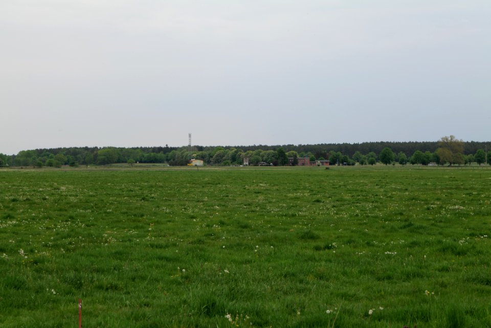 Meadow in Sommerfeld 2020-05-10 09