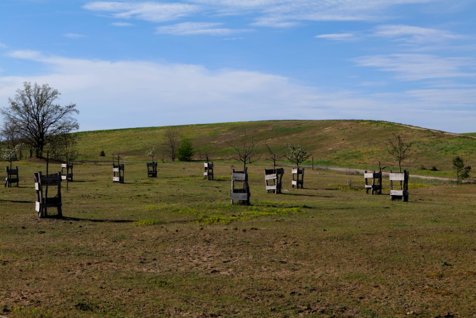 Meadow in Zossen 2021-05-09 11