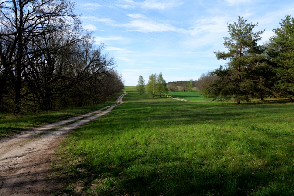 Meadow in Zossen 2021-05-09 03