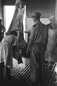 Medan De boerderij Onze Laatste Hoop van de Verplegings- en Transport Dienst …, Bestanddeelnr 1697-1-5