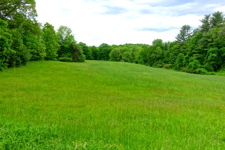 Meadow - Northfield Mount Hermon School - DSC06583