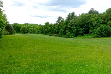 Meadow - Northfield Mount Hermon School - DSC06579