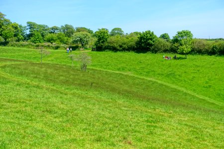 Meadow - Lost Gardens of Heligan - Cornwall, England - DSC02776 photo