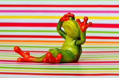 Funny cute fun