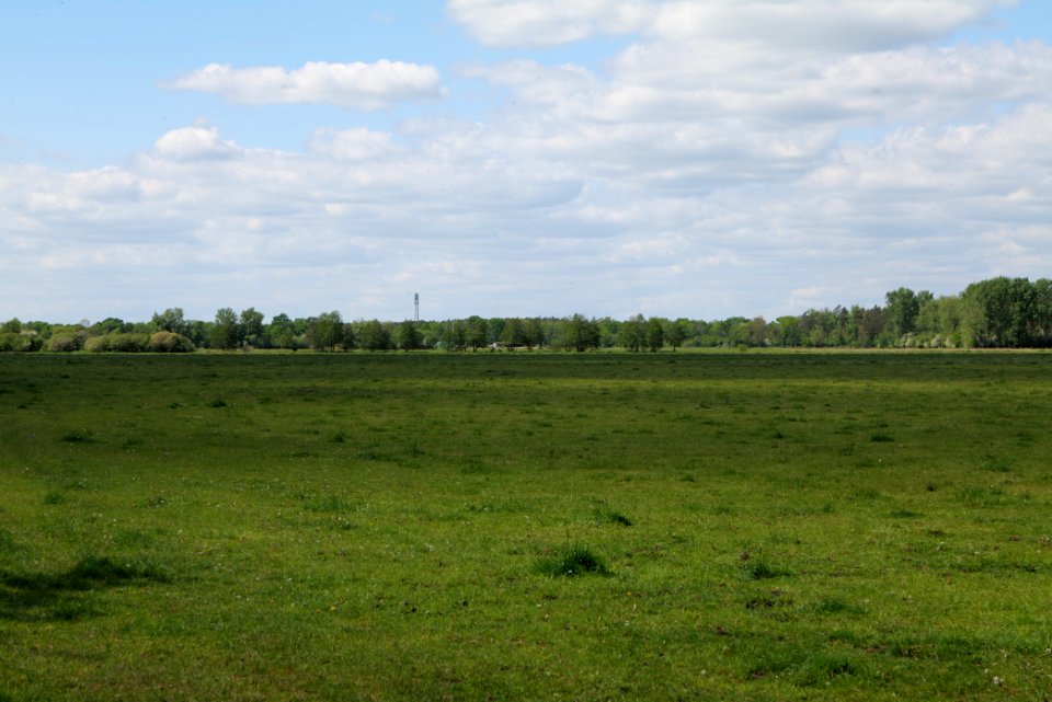 Meadow at Leitsakgraben 2020-05-15 09