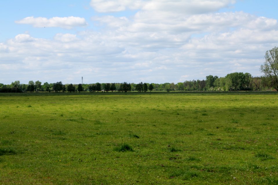 Meadow at Leitsakgraben 2020-05-15 04