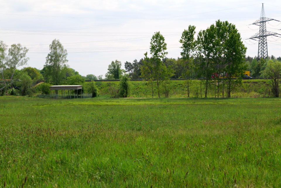 Meadow in Pinnow 2020-05-10 09