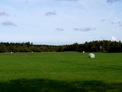 Meadow next to Lammersdorfer Venn photo