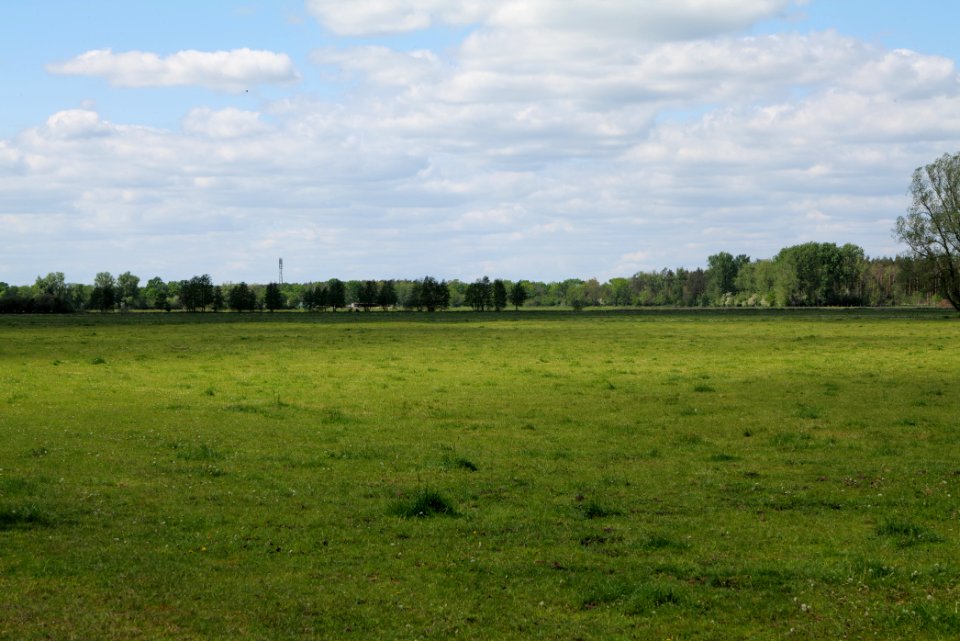 Meadow at Leitsakgraben 2020-05-15 05