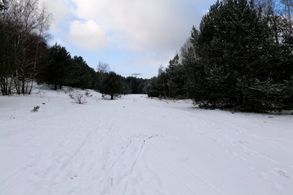 Meadow Fichtewiese Erlengrund Spandauer Forst with snow 2021-02-10 08