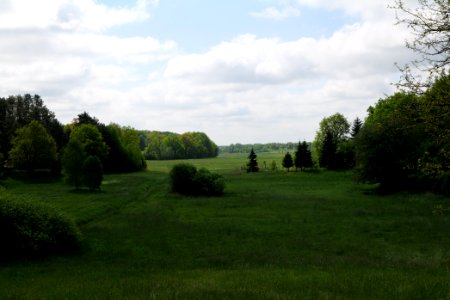 Meadow in Densow 2021-05-29 03