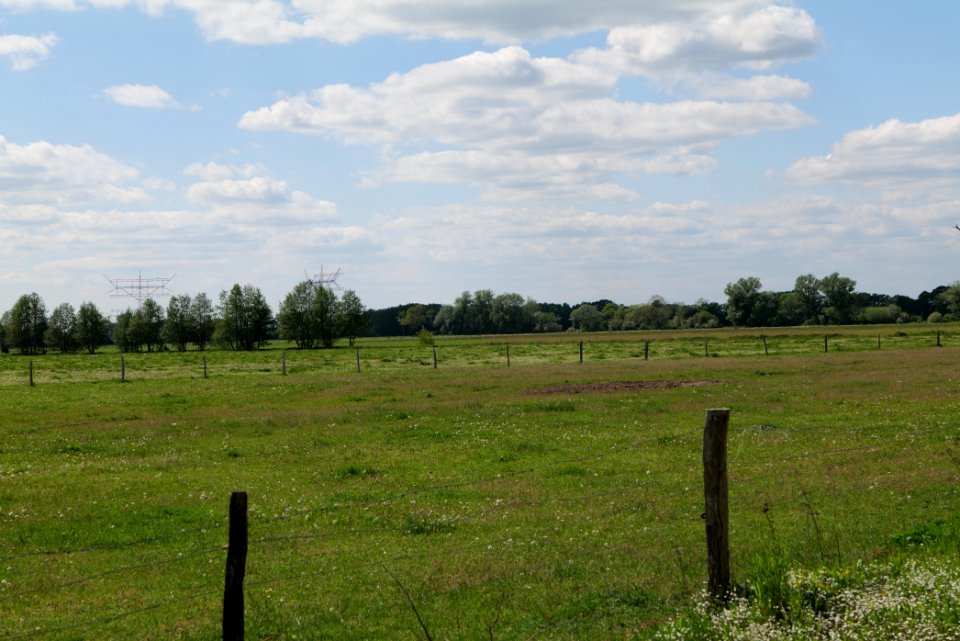 Meadow at Leitsakgraben 2020-05-15 16