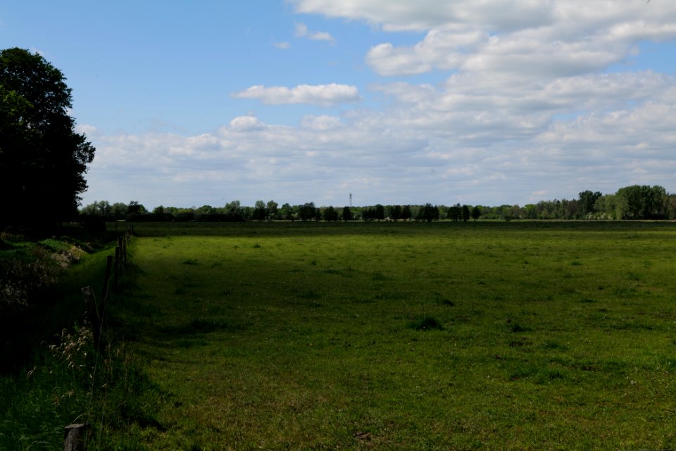 Meadow at Leitsakgraben 2020-05-15 07