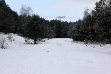 Meadow Fichtewiese Erlengrund Spandauer Forst with snow 2021-02-10 09