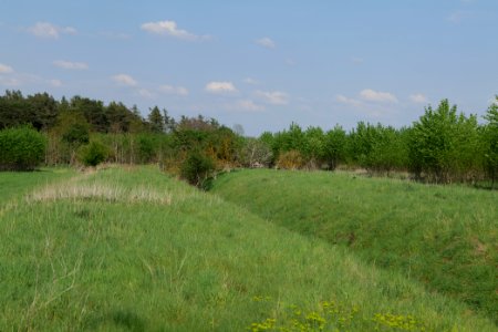 Meadow in Ragow 2021-05-11 12