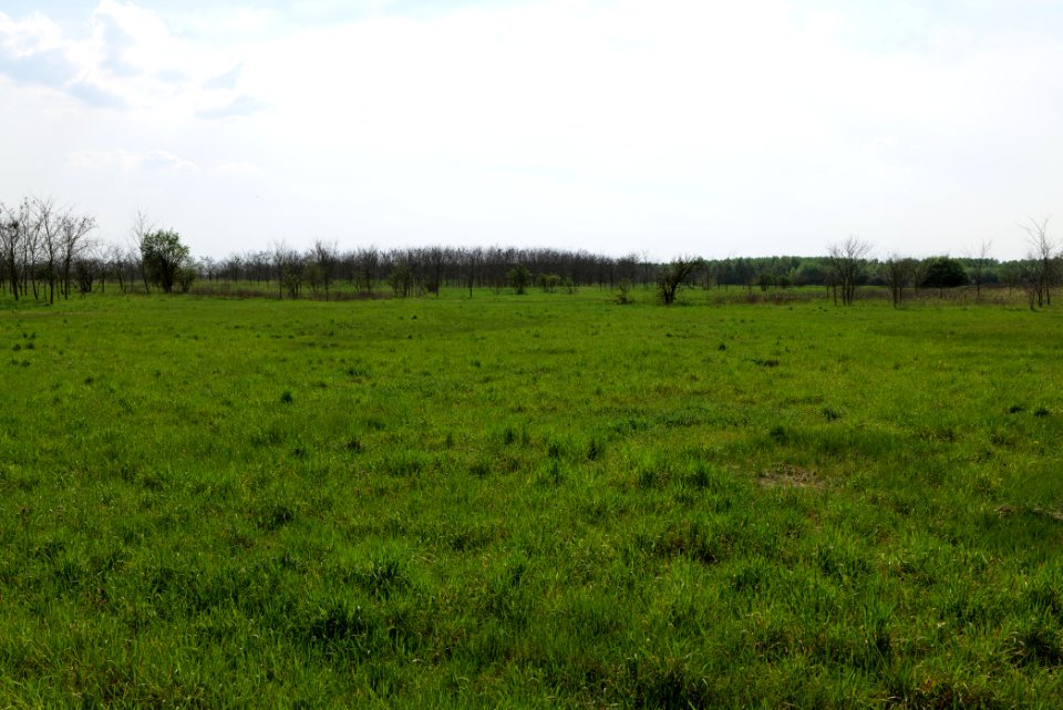 Meadow in Ragow 2021-05-11 08