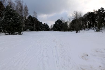 Meadow Fichtewiese Erlengrund Spandauer Forst with snow 2021-02-10 06