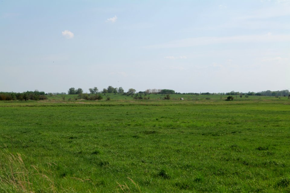 Meadow in Ragow 2021-05-11 16