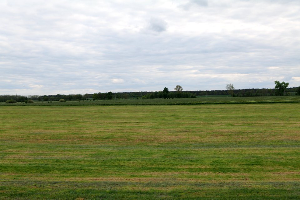 Meadow in Fehrbellin 2020-05-15 13