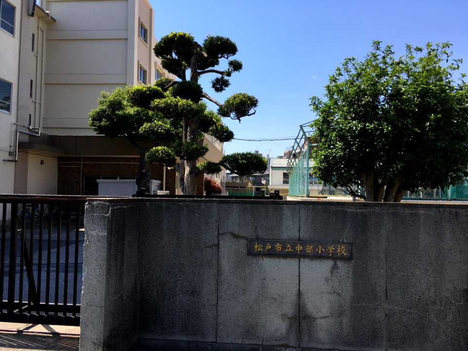 Matsudo Chubu elementary school