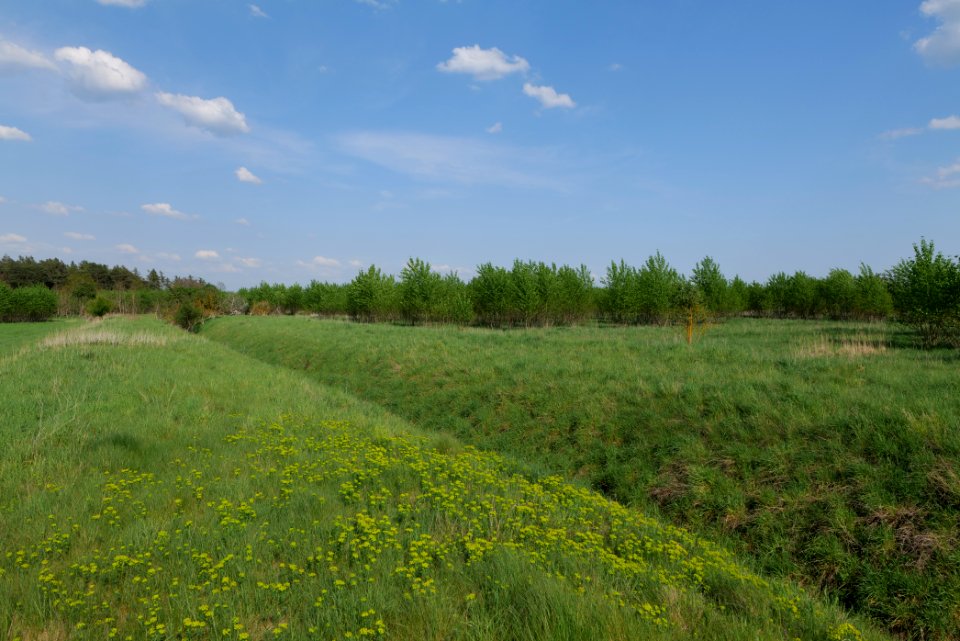 Meadow in Ragow 2021-05-11 11
