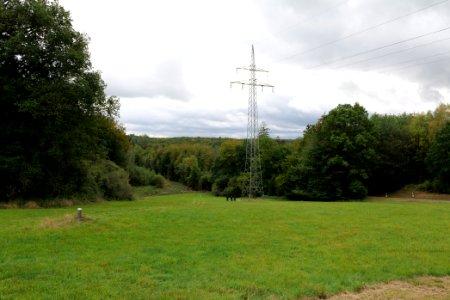 Maulbach forest 2020-10-05 06