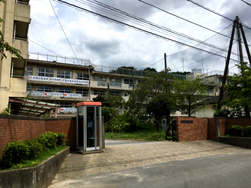 Matsudo dai6 junior highschool01