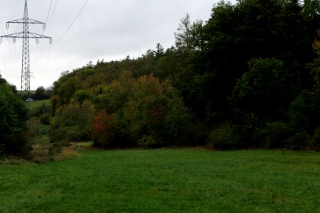 Maulbach forest 2020-10-05 22
