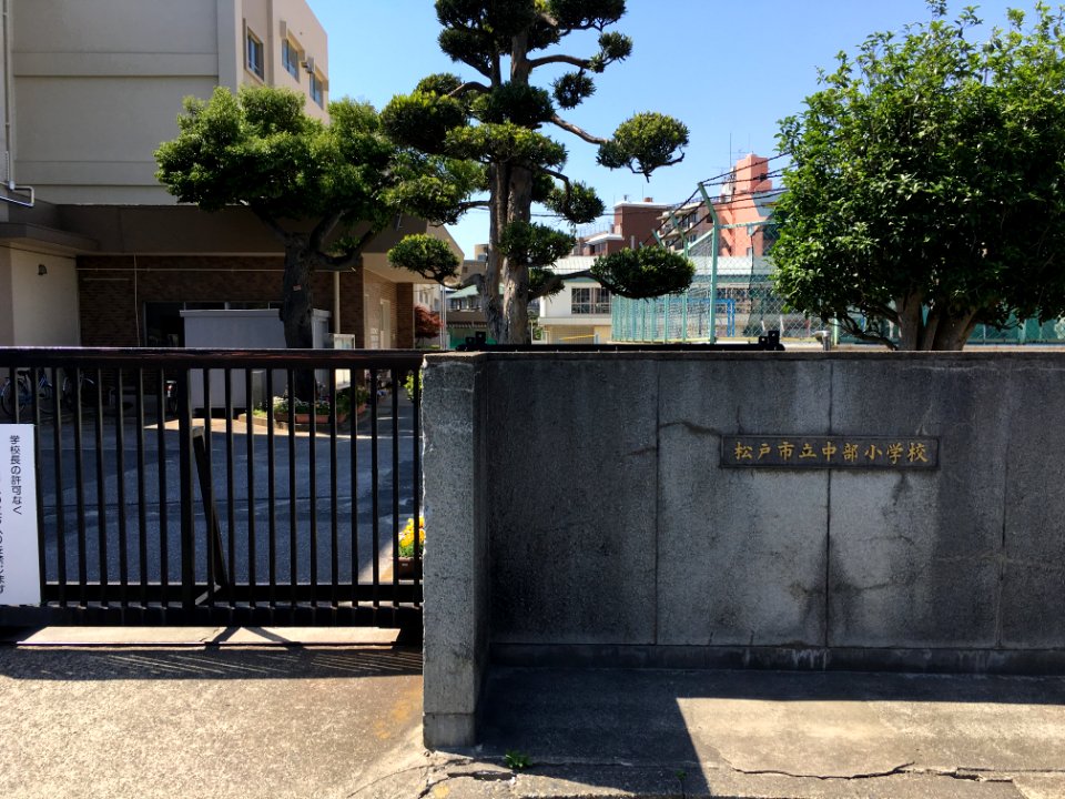 Matsudo Chubu elementary school3