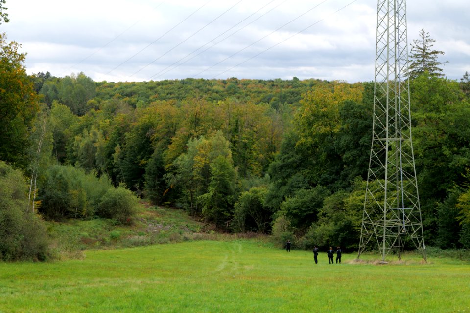 Maulbach forest 2020-10-05 04