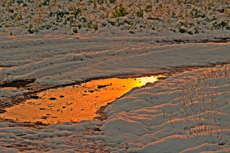 Wintry ice puddle