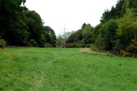 Maulbach forest 2020-10-05 15