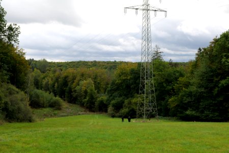 Maulbach forest 2020-10-05 08