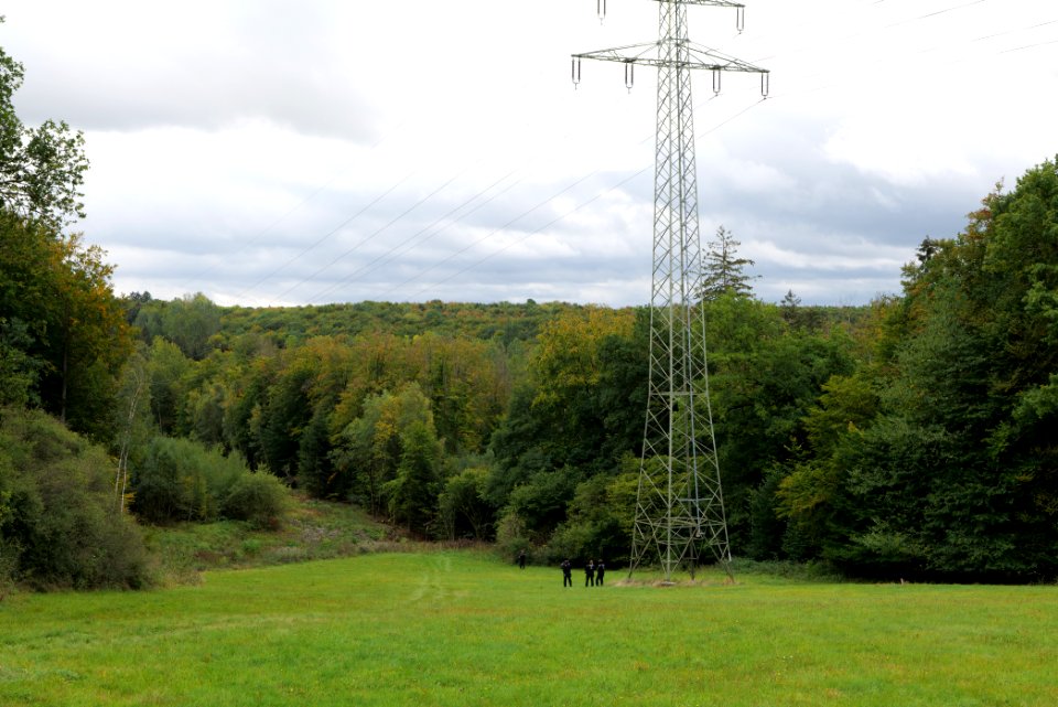 Maulbach forest 2020-10-05 07