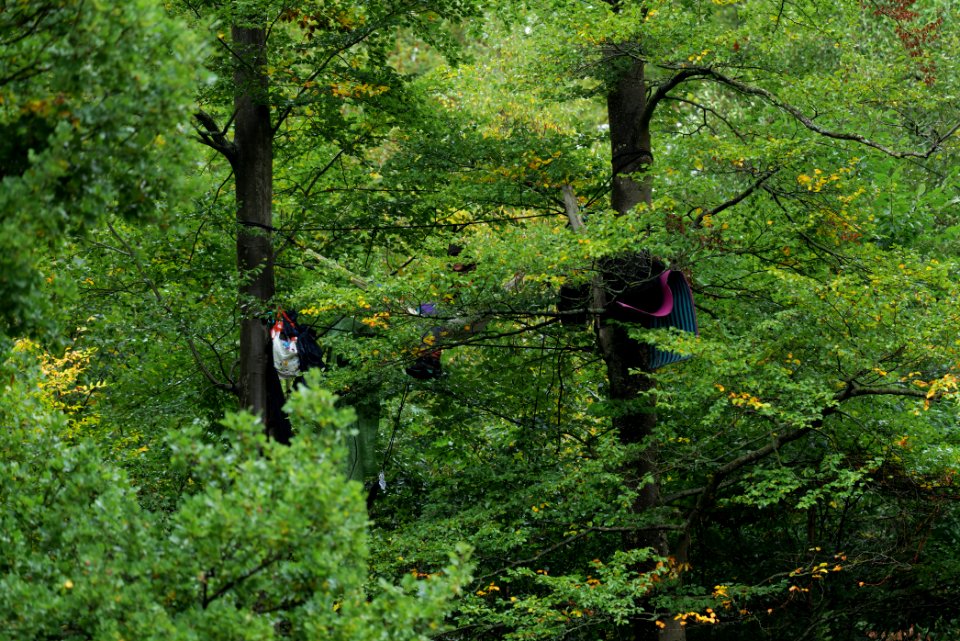 Maulbach forest blockades and protests 2020-10-06 40