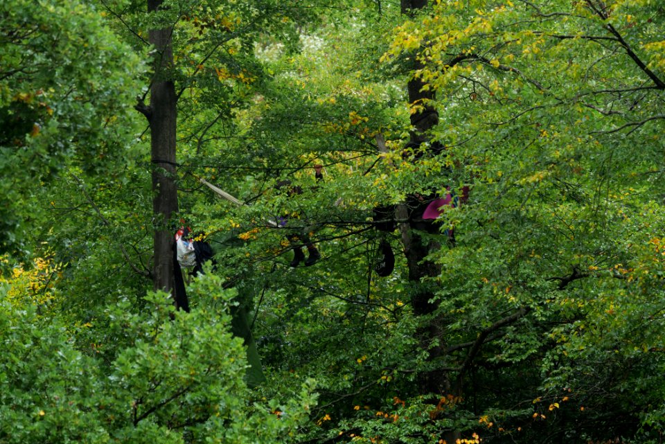 Maulbach forest blockades and protests 2020-10-06 15