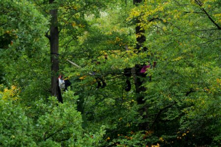 Maulbach forest blockades and protests 2020-10-06 15
