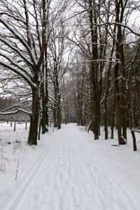 Mauerweg in the Spandauer Forst with snow 2021-02-09 05