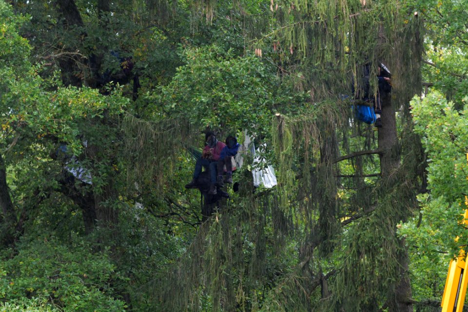 Maulbach forest blockades and protests 2020-10-06 22
