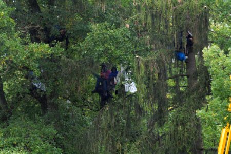 Maulbach forest blockades and protests 2020-10-06 22