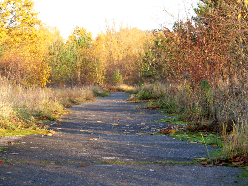 Mauerweg Hohen Neuendorf on 2019-11-11 01
