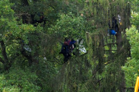Maulbach forest blockades and protests 2020-10-06 23