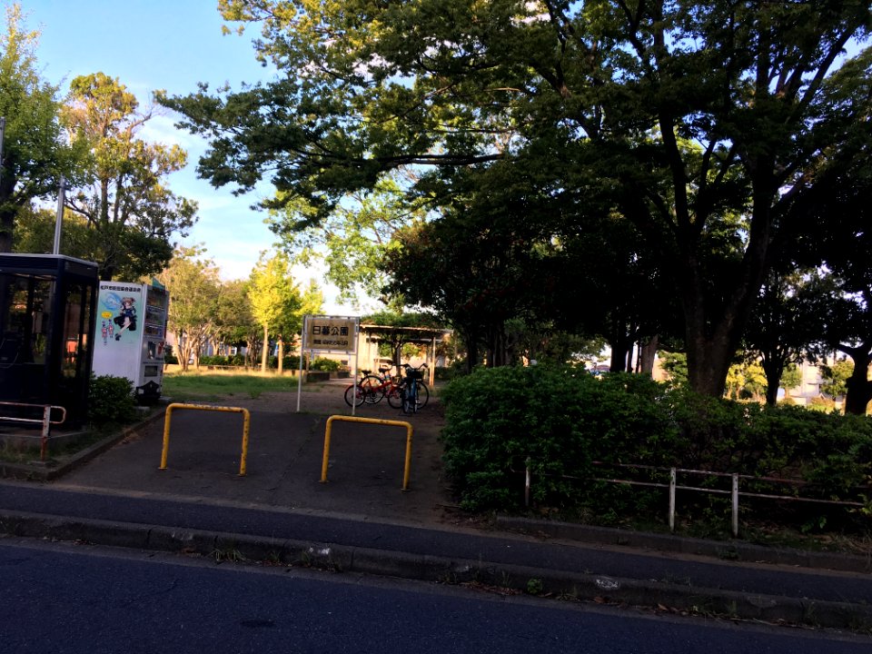 Matsudo higurashi koen01