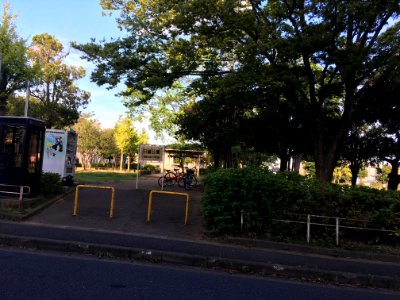 Matsudo higurashi koen01