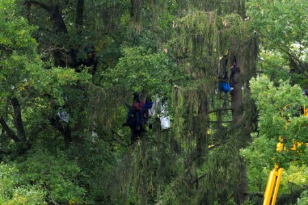 Maulbach forest blockades and protests 2020-10-06 19
