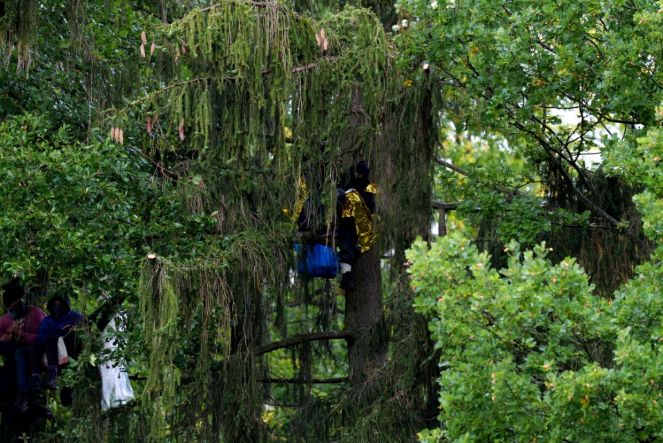 Maulbach forest blockades and protests 2020-10-06 29