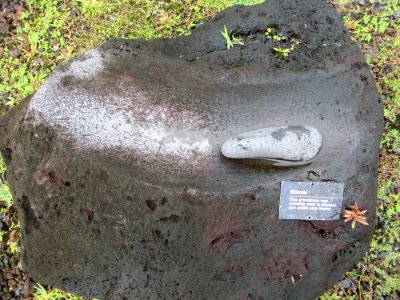 Maui-Piilanihale-Heiau-whetstone