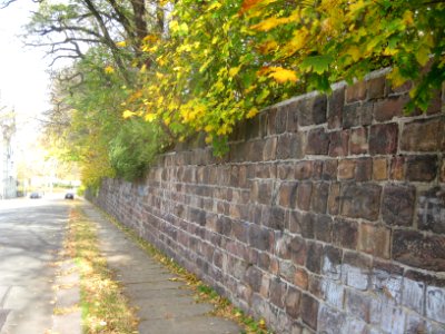 Mauer bei Reineckerstraße 3