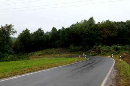 Maulbach forest after tree cuttings 2020-10-08 16