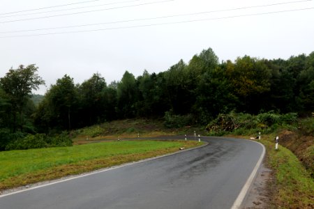 Maulbach forest after tree cuttings 2020-10-08 17